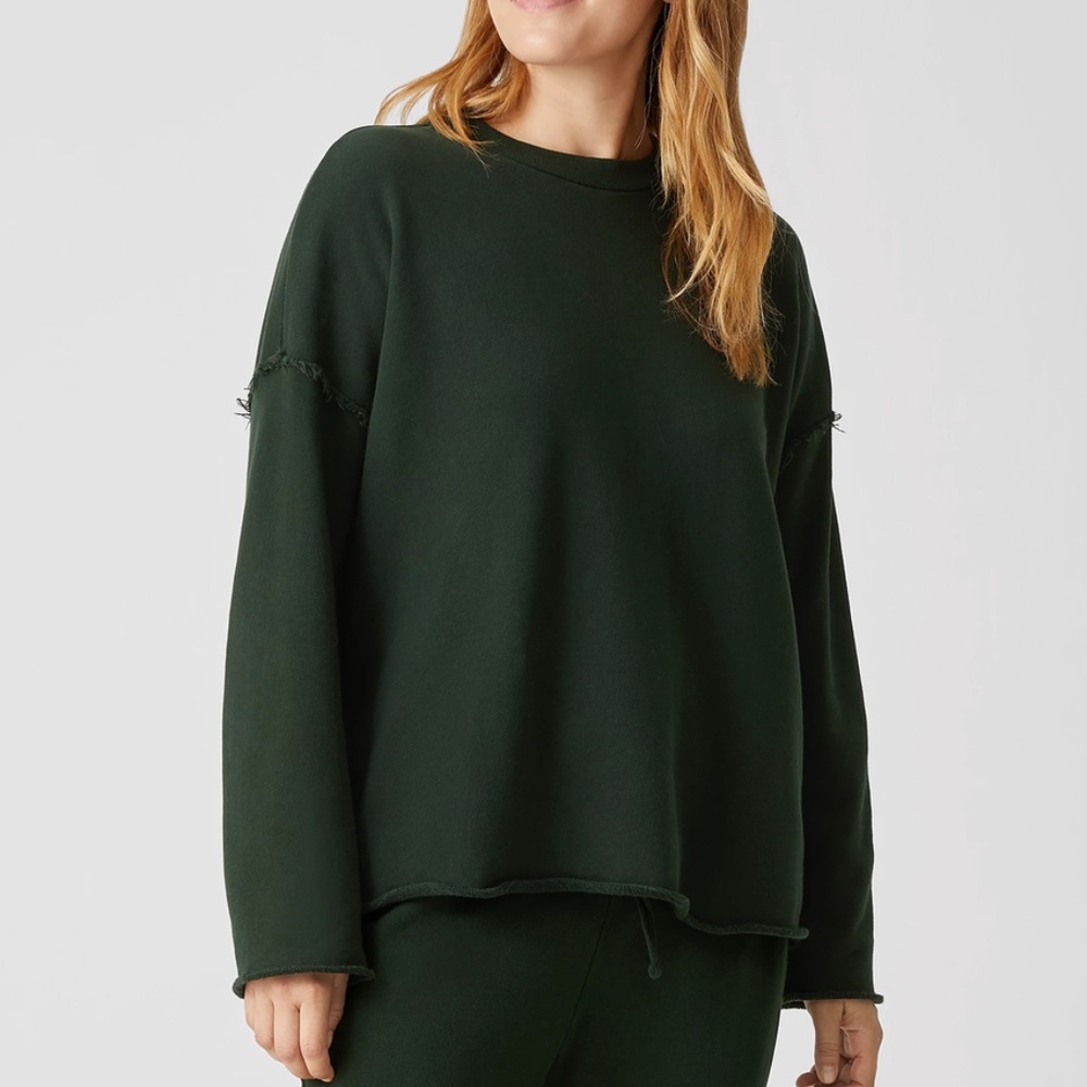 Cozy Eileen Fisher 1X Organic Cotton French Terry Box Top Sweatshirt Ivy Green